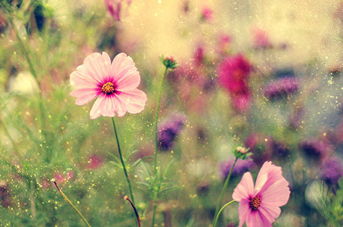 假期旅游的心情说说 放假出去玩发朋友圈的句子(58句)