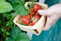 ​面对大海一句感言面朝大海的心情短语(44句)