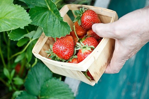 面对大海一句感言 面朝大海的心情短语(44句)