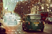 ​有关花开心情好的语录(精选72句)