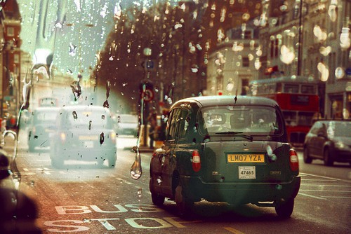 有关花开心情好的语录(精选72句)