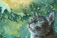 ​累了出去放松的心情说说(36句)