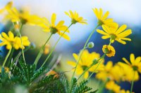 ​过完春节过年后第一天上班的心情说说(38句)