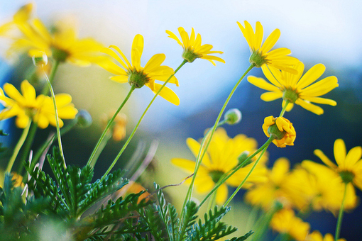 过完春节过年后第一天上班的心情说说(38句)