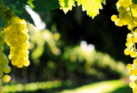 ​睡衣店名字好听特别124个