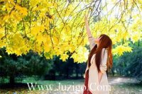 ​抗击新型肺炎疫情早安心语说说心情短语精选(精选24句)