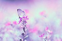 ​回家了发表个心情说说文学句子回家了发表个心情说说