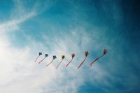 ​类似万般皆是命的句子万般皆是命的心情句子(33句)