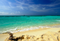 ​最吸引女生的网名116个