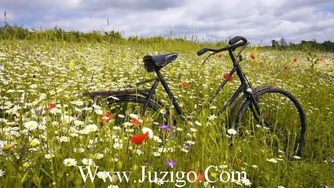 咖啡的说说心情短语 第三者的说说心情短语(24句)