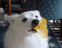 ​许嵩适合做网名的歌词