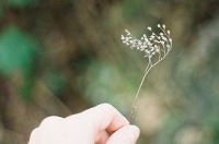 ​最给力的网名、勋鹿一起啵啵啵bib