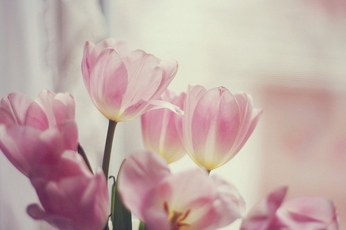 关于醉酒的说说有关醉酒后的心情说说(26句)