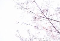 ​2023吸引人的网红女生网名