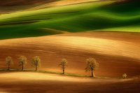 ​描写生日的说说心情短语36句