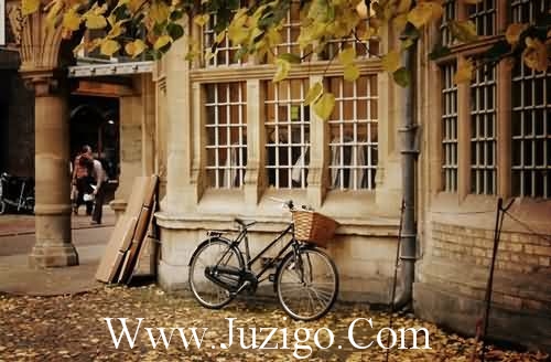 心情失落的时候鼓励自己的话精选(精选35句)