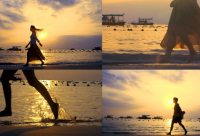 ​狗狗名字大全有性859个