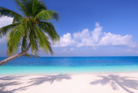 ​cf游戏女生名字大全霸气的115个