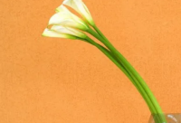 ​好听有创意五金店名字大全 有创意寓意好五金店起名114个