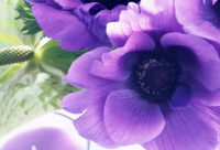 ​姓子车的男孩名字大全 属鸡子车姓男宝宝起名124个