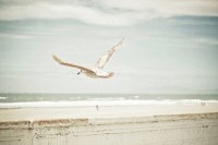 ​被男朋友感动的说说心情语录