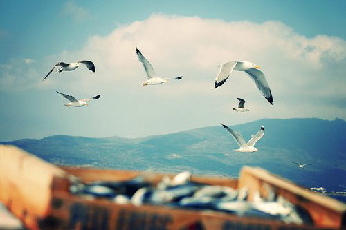 喉咙痛说不出话的心情说说(15句)