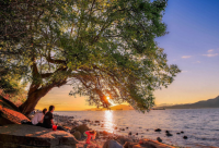 ​气质网名134个