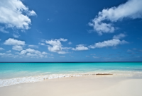 ​简短可爱名字呆萌112个