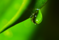 ​王者名字id悲伤