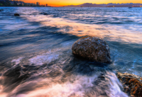 ​关于樱花的网名唯美106个