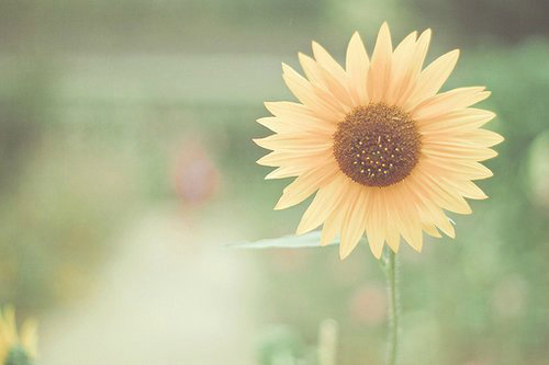 心情压抑的说说大全带图片