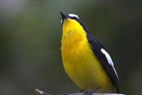 ​公司取名寓意好的字 热门有关注度的字推荐