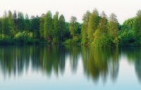 ​微信id英文什么好听的大全精选134个