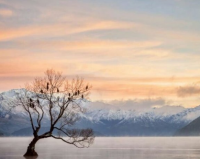 ​好看的字符网名_【※霸道式女子i】