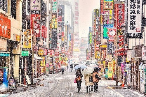 关于情感的唯美句子(25句)