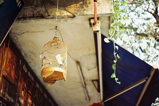 中秋思念亲人80句