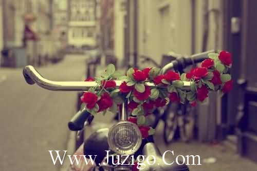 2023清明节寄哀思怀念寄语(清明节对亲人的思念寄语)