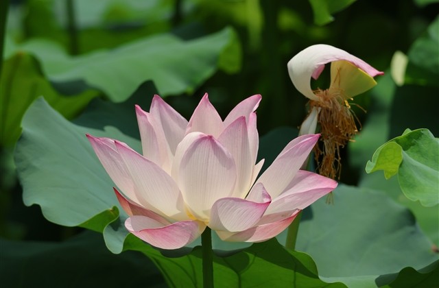 劲舞团两个字名字大全(948个)