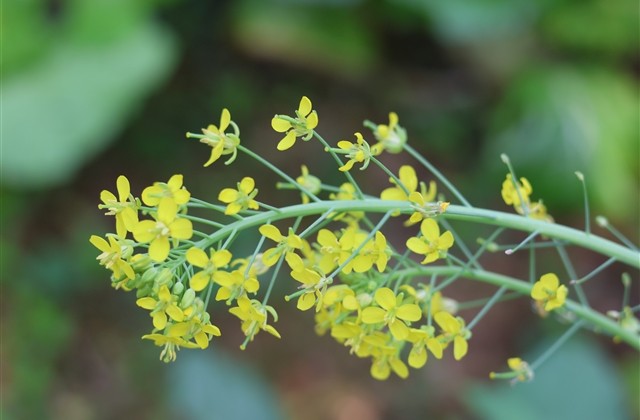 最好听不俗气的微信名字大全(精选725个)