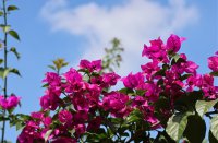 ​最好听不俗气的微信名字大全(精选725个)