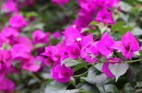 ​快手昵称大全(精选720个)