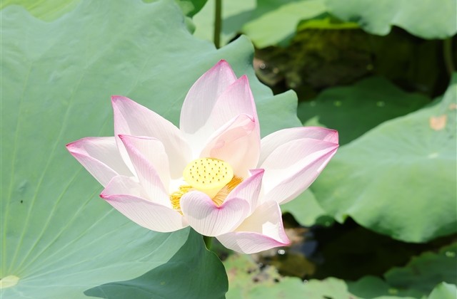 网名两个字忧伤的网名(精选953个)