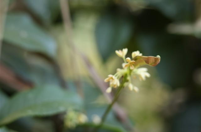 王者游戏昵称骚而不俗的