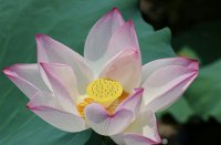 ​非主流伤感微信网名大全(共609个)