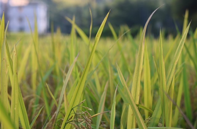 超级高冷的霸气网名(精选603个)