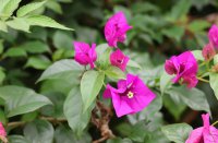 ​超级痛心的伤感网名(579个)