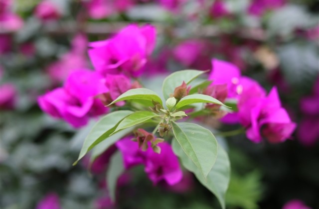 易经优美的游戏网名