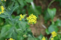 ​不能错过的神仙网名