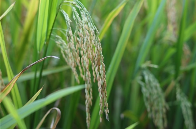 王者id伤感且温柔五个字(精选464个)