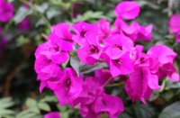 ​青春女孩的伤悲qq网名(优选486个)